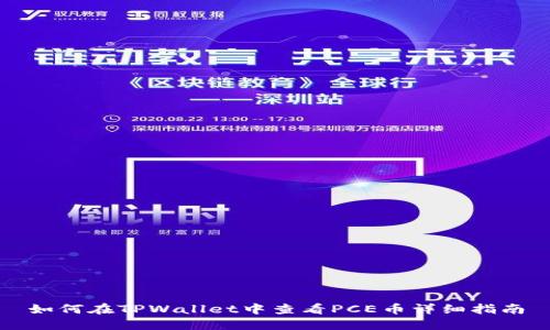 如何在TPWallet中查看PCE币详细指南