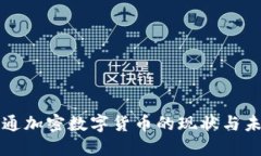 全球流通加密数字货币的
