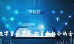 2023年加密数字货币黑马：